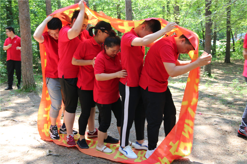 1562576137481927.jpg IMG_7494_wps图片.JPG